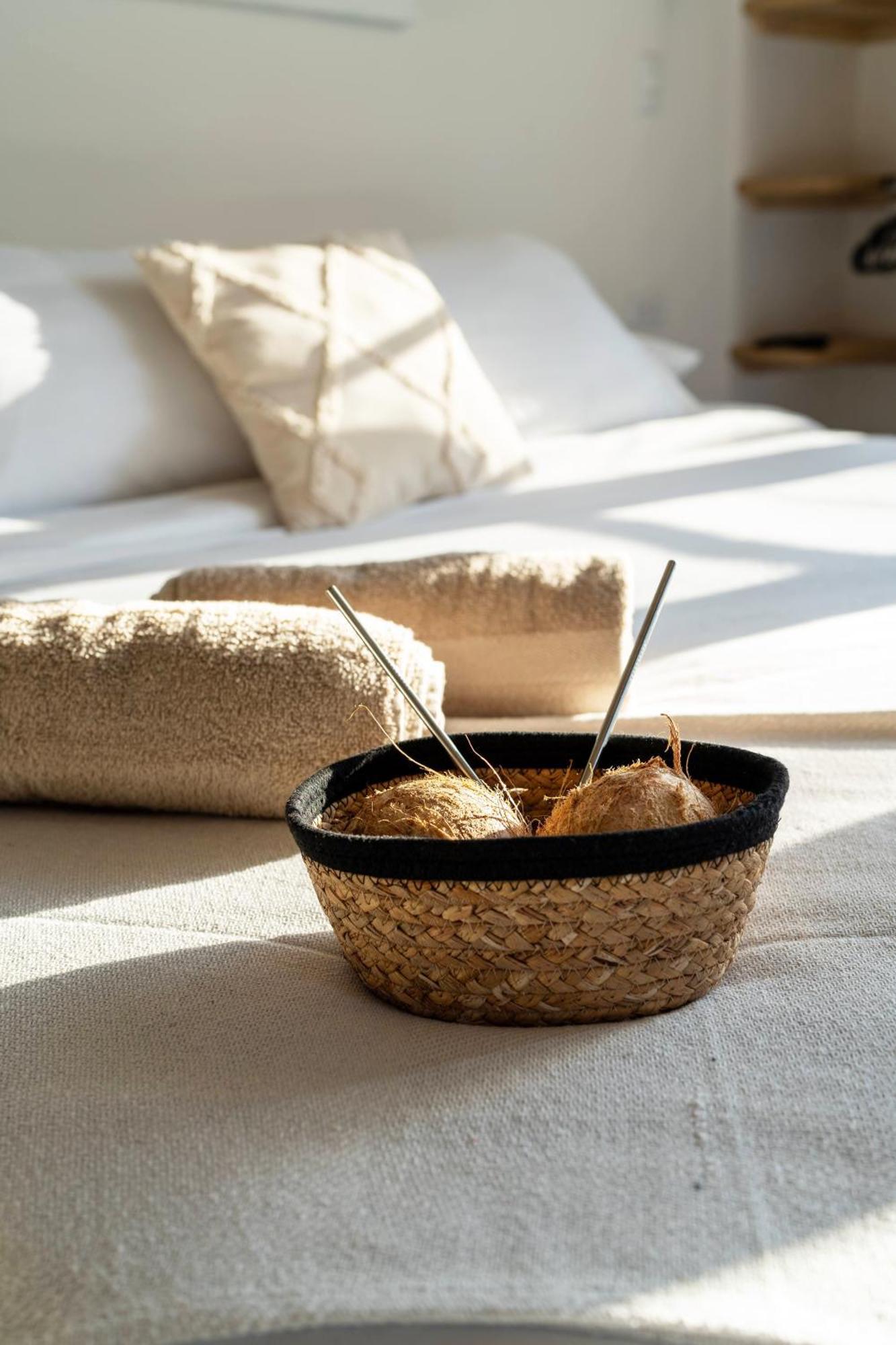 Alma Tropical - Luxury Villa Experience In Santa Teresa Playa Santa Teresa  ภายนอก รูปภาพ
